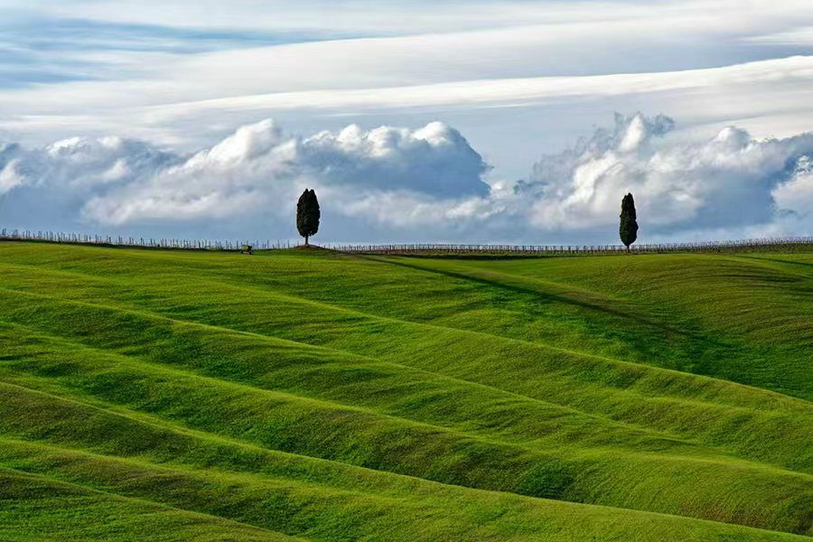 Paisaje de colinas verdes que representa la visión de Piforz sobre la energía renovable y la naturaleza.